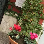 Giardino Eden Bed & Breakfast Naples